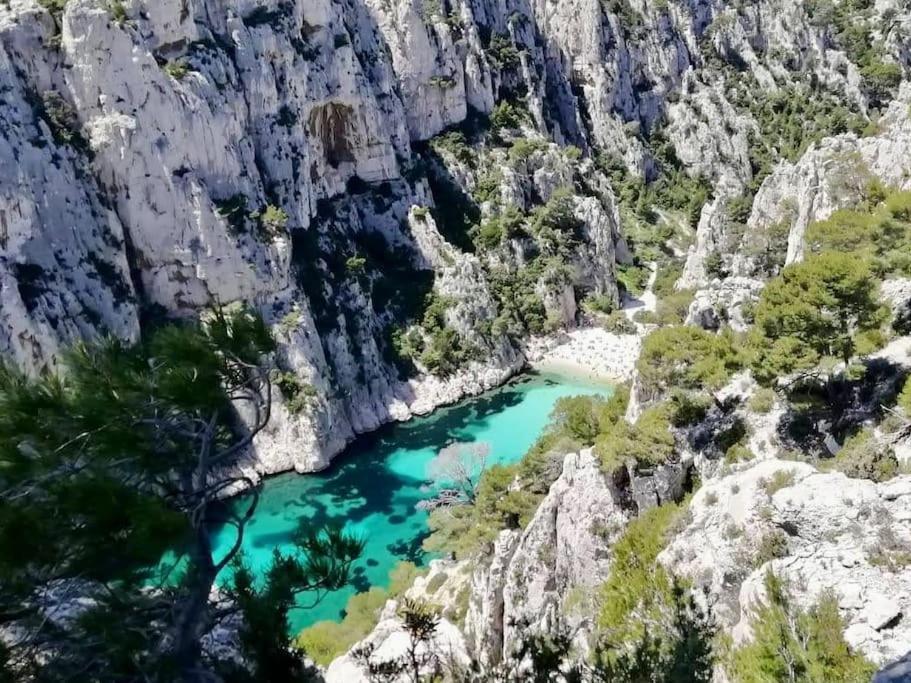 Studio Calanques Pres Du Vieux Port 马赛 外观 照片