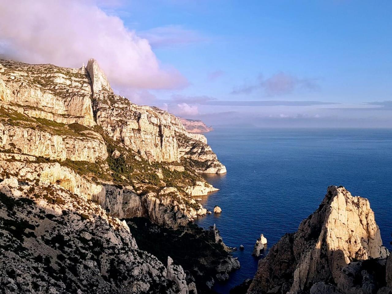 Studio Calanques Pres Du Vieux Port 马赛 外观 照片