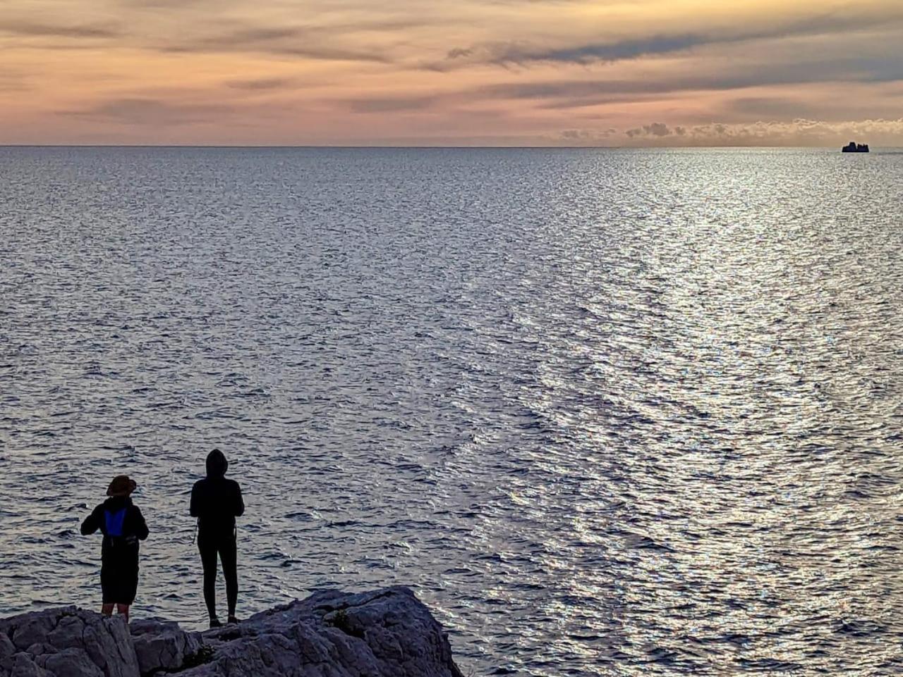 Studio Calanques Pres Du Vieux Port 马赛 外观 照片