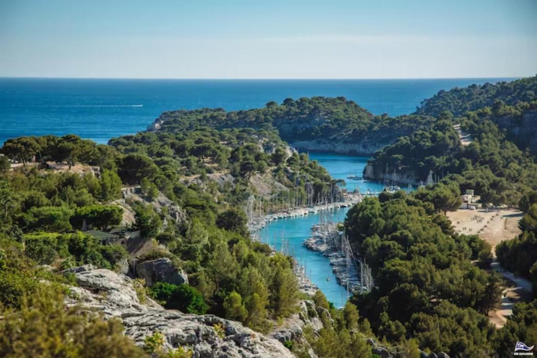 Studio Calanques Pres Du Vieux Port 马赛 外观 照片